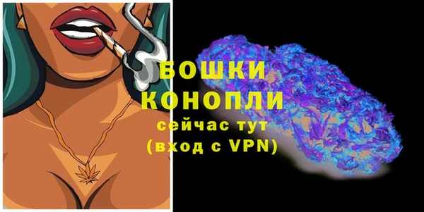 соль ск Пересвет