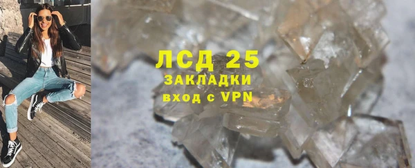 крисы Тында