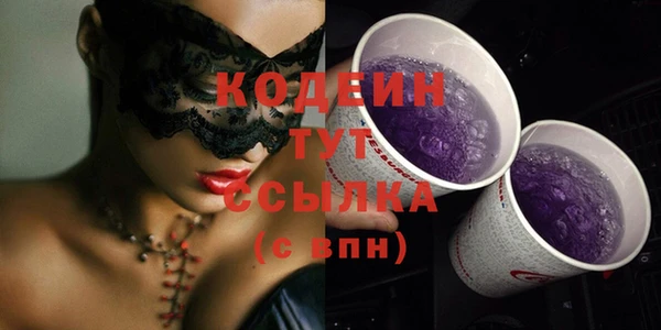 соль ск Пересвет