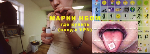 соль ск Пересвет