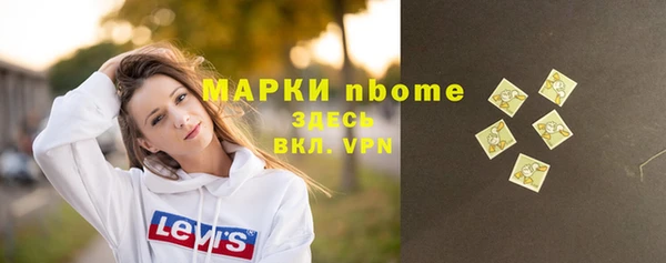 соль ск Пересвет