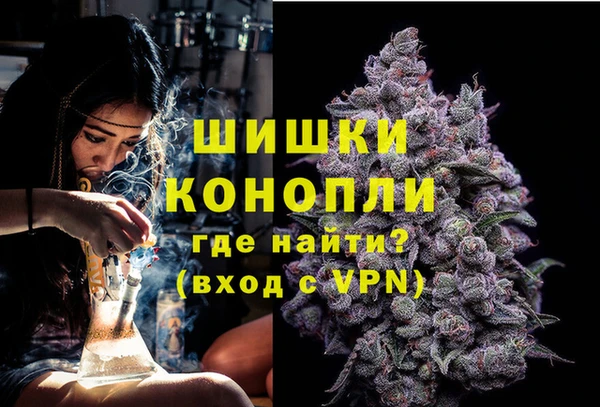 соль ск Пересвет