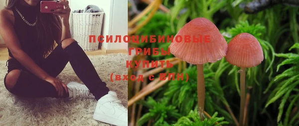 соль ск Пересвет