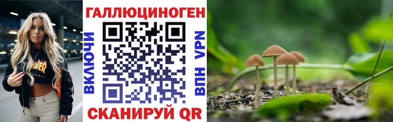 Псилоцибиновые грибы MAGIC MUSHROOMS  купить наркотики сайты  Агрыз 