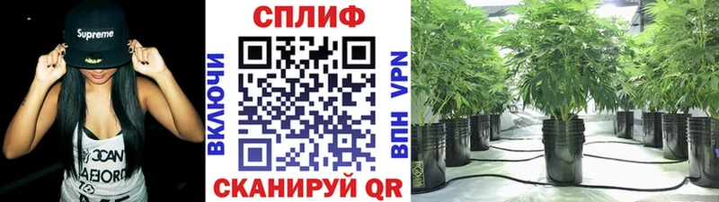 что такое наркотик Агрыз Каннабис MAZAR